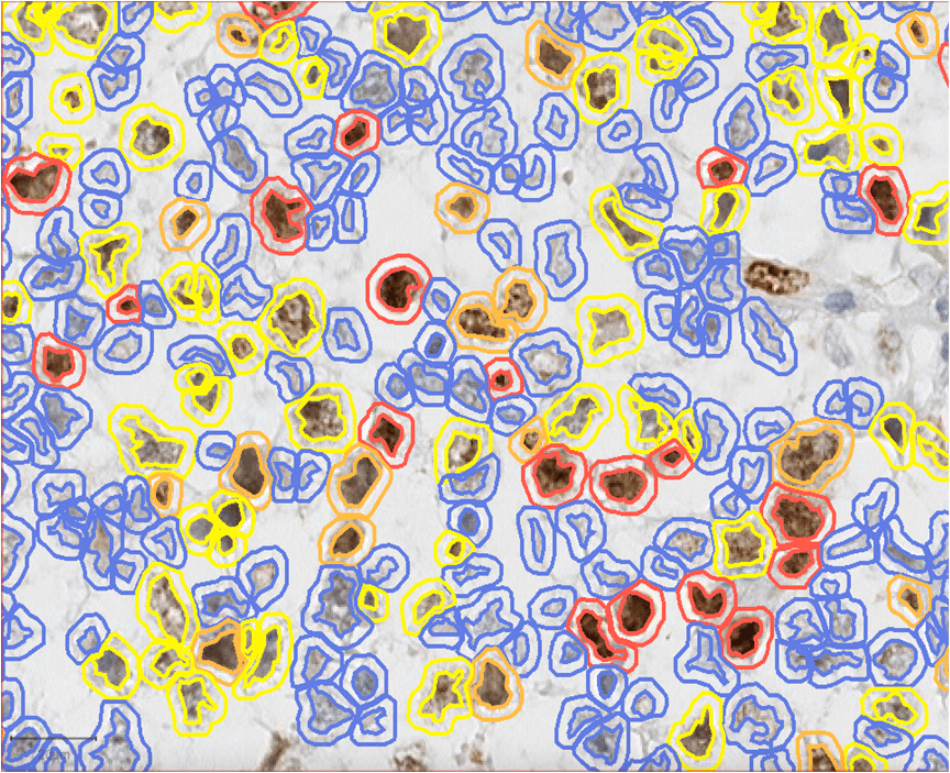 Enveda raises $311M Series E at $2B valuation for AI drug discovery
