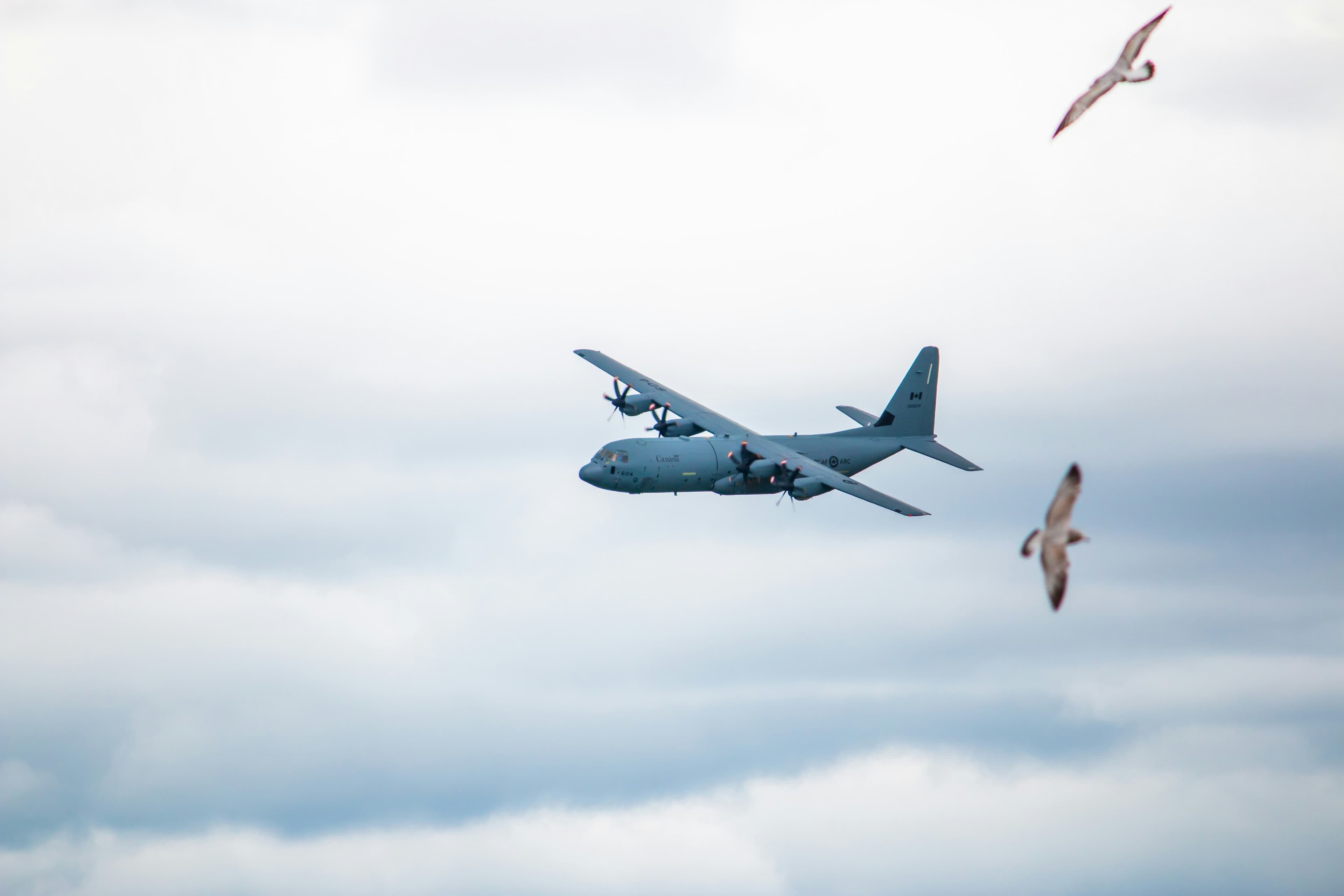 NATO-backed Scaleout puts federated AI on drones for autonomous strikes